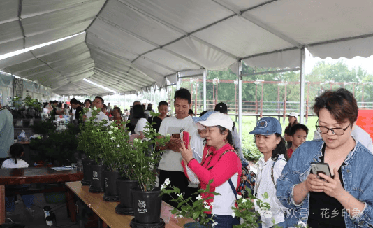 纷登场！好吃好玩的以及音乐会门票等福利来袭！CQ9电子版入口横州市2025年茉莉开采季缤(图2)